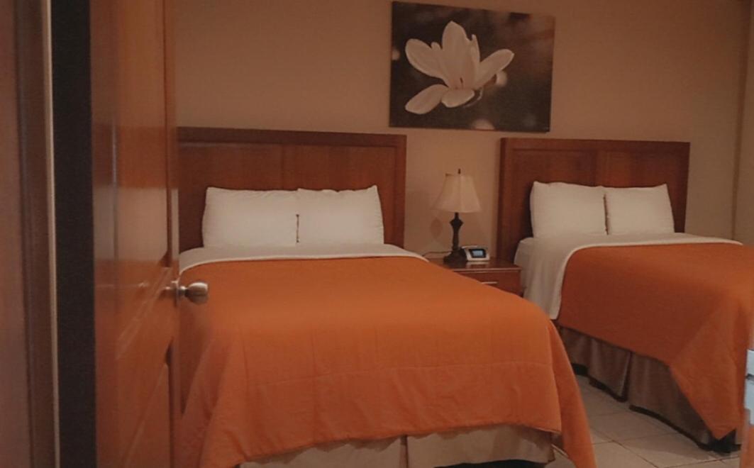 Hotel Primavera Boutique 산페드로술라 외부 사진