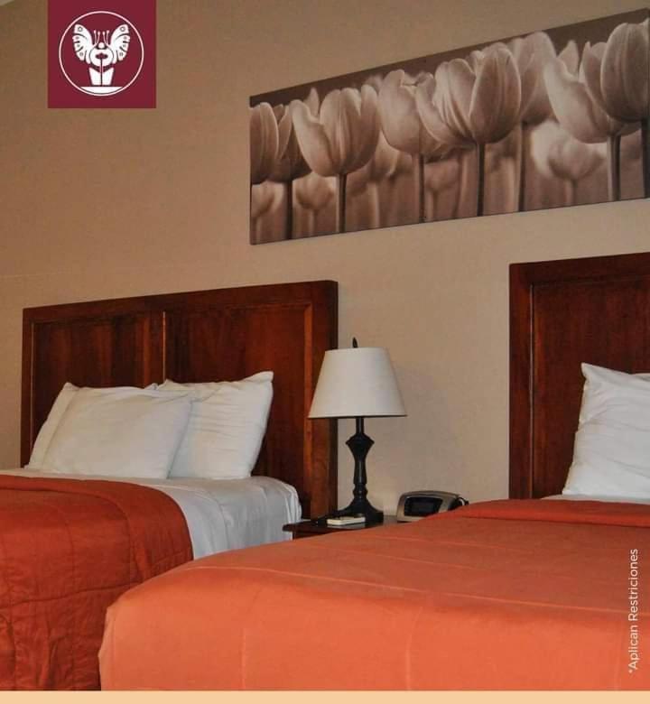 Hotel Primavera Boutique 산페드로술라 외부 사진